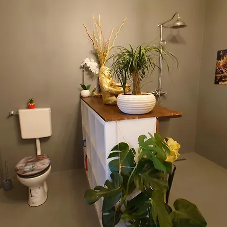 Extravagante Luxuswohnung Mit Viel Privatsphaere Apartment